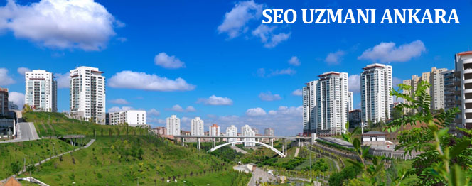 seo uzman ankara